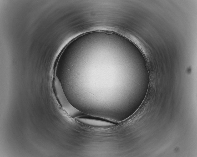 X0000099501140200805291122