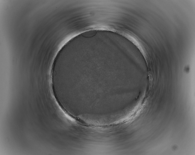 X0000099501141200805291122