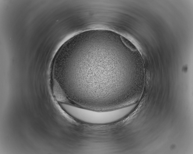 X0000099501142200805291122