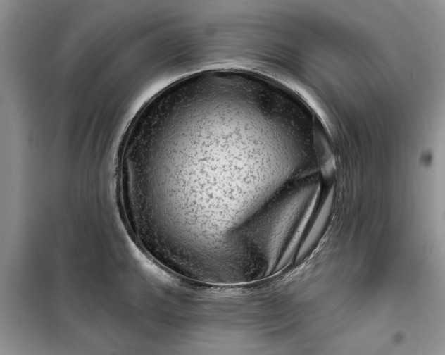 X0000099501143200805291122