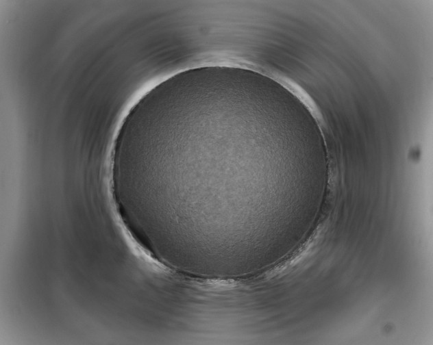 X0000099501144200805291122