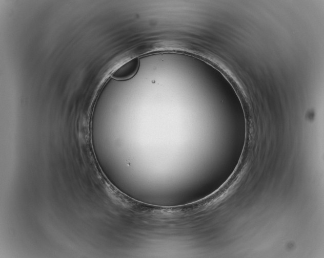 X0000099501145200805291122