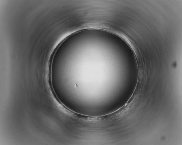 X0000099501147200805291122