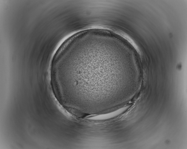 X0000099501148200805291122