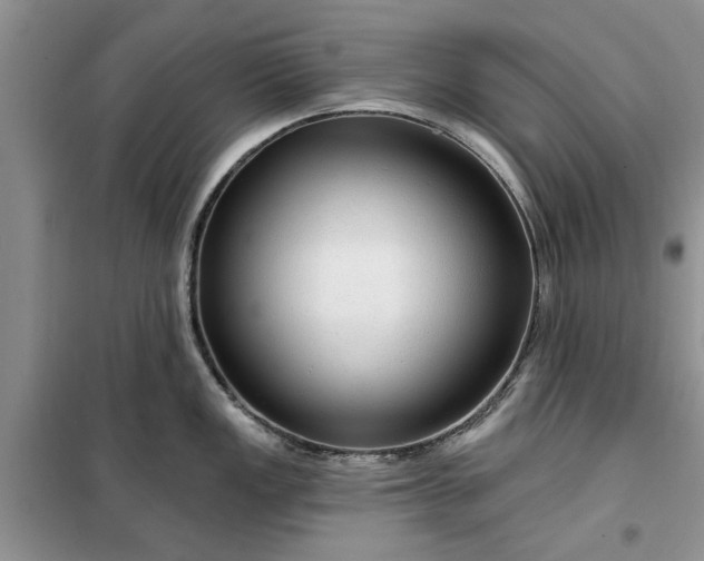 X0000099501149200805291122