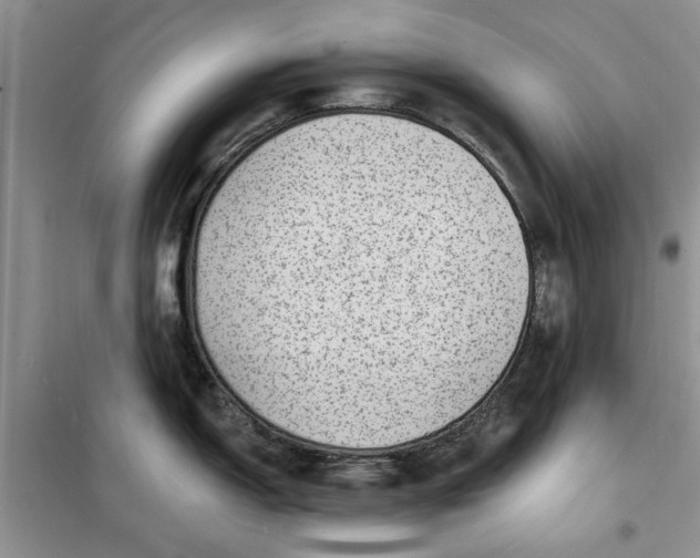 X0000099501150200805291122