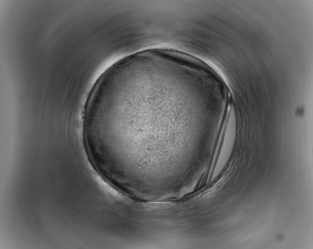 X0000099501151200805291122