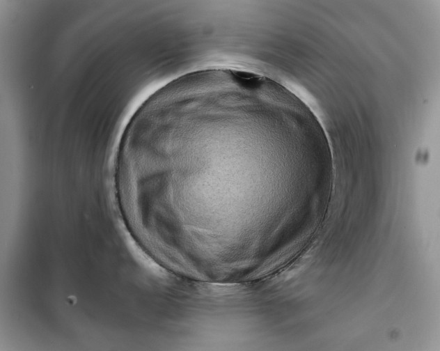 X0000099501152200805291122