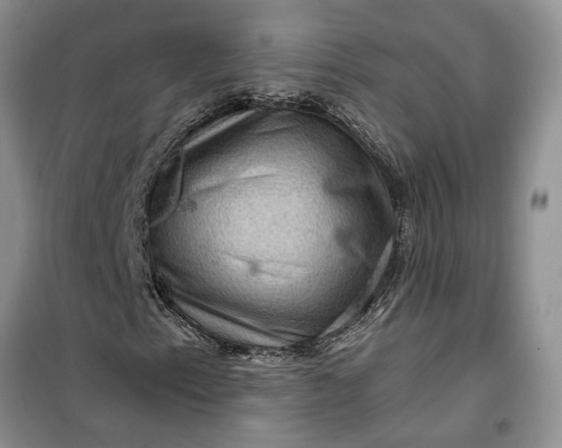 X0000099501153200805291122