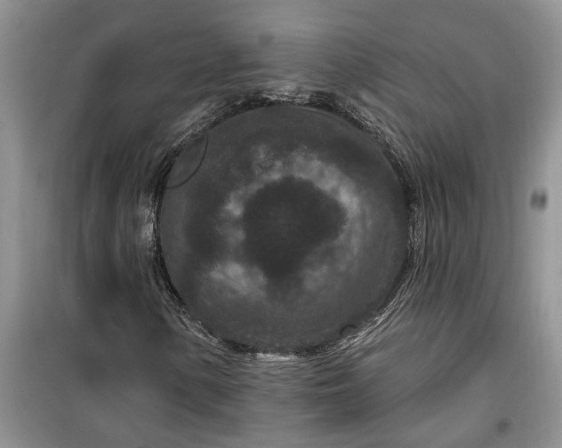 X0000099501154200805291122