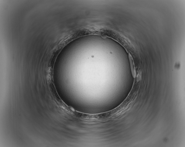 X0000099501156200805291122