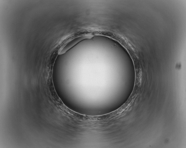 X0000099501157200805291122