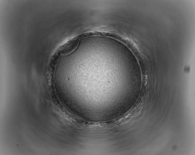 X0000099501159200805291122