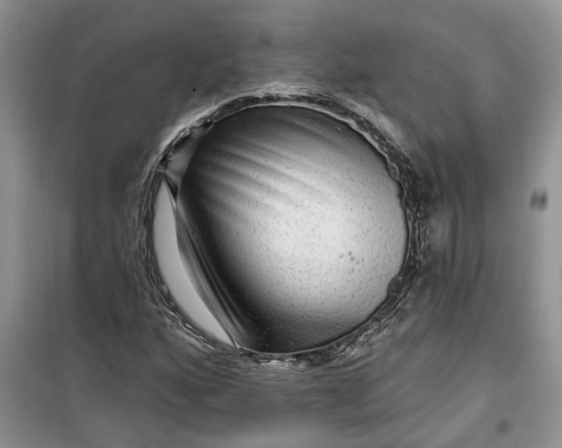 X0000099501160200805291122