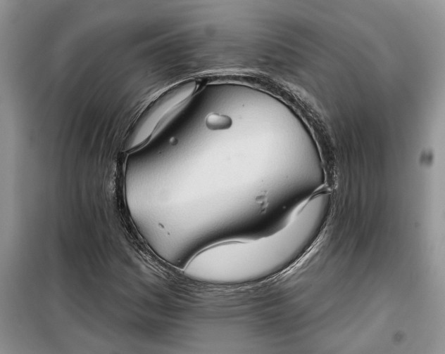 X0000099501161200805291122