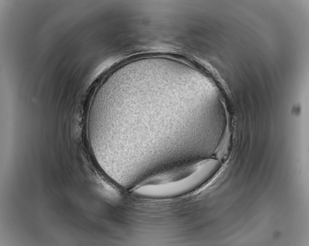 X0000099501163200805291122