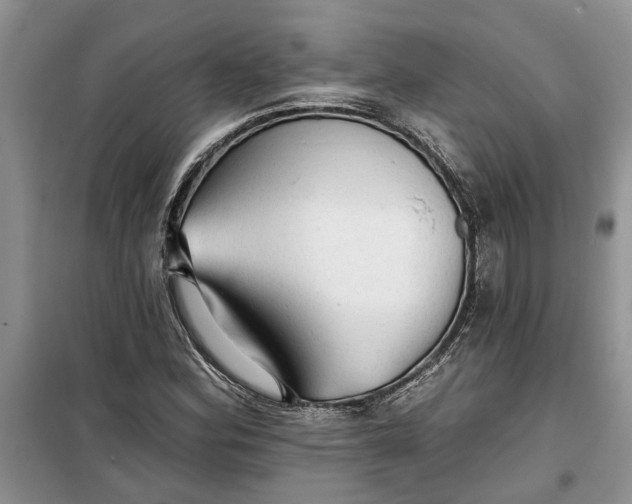 X0000099501164200805291122