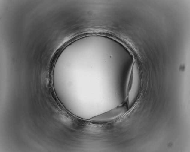 X0000099501165200805291122