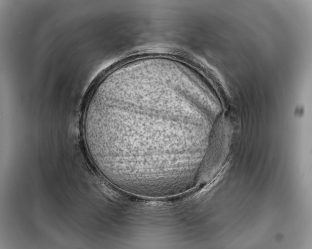 X0000099501166200805291122