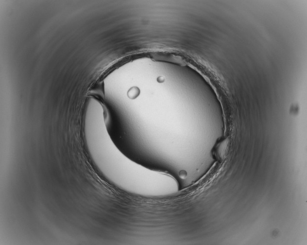 X0000099501169200805291122