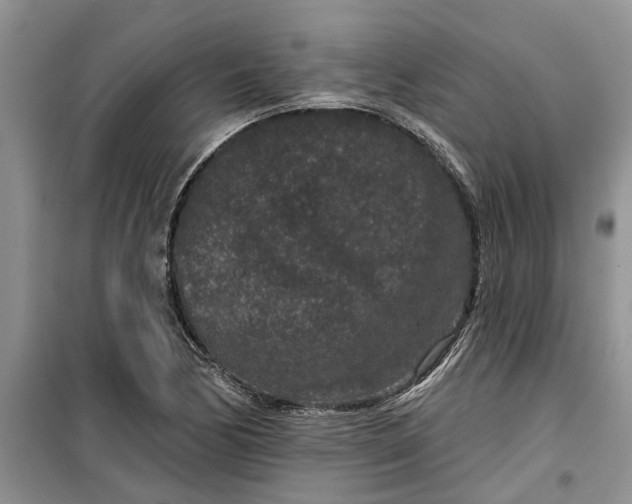 X0000099501170200805291122