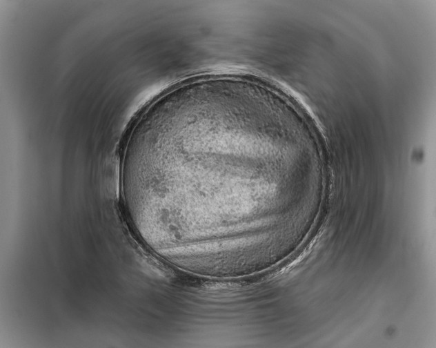 X0000099501171200805291122