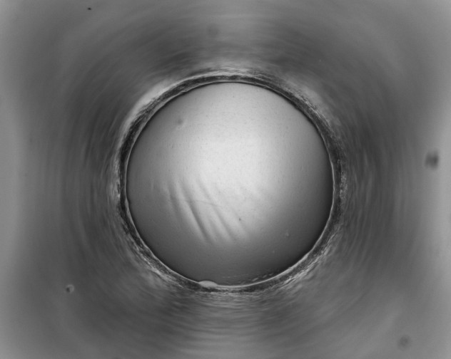 X0000099501172200805291122