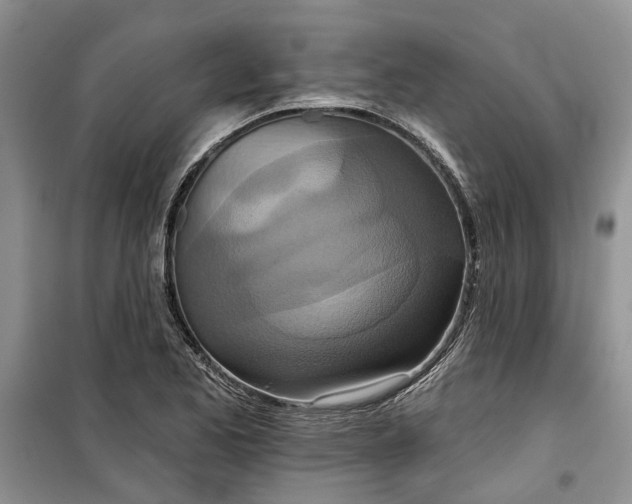 X0000099501173200805291122