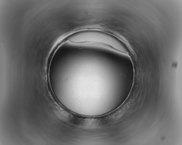 X0000099501176200805291121