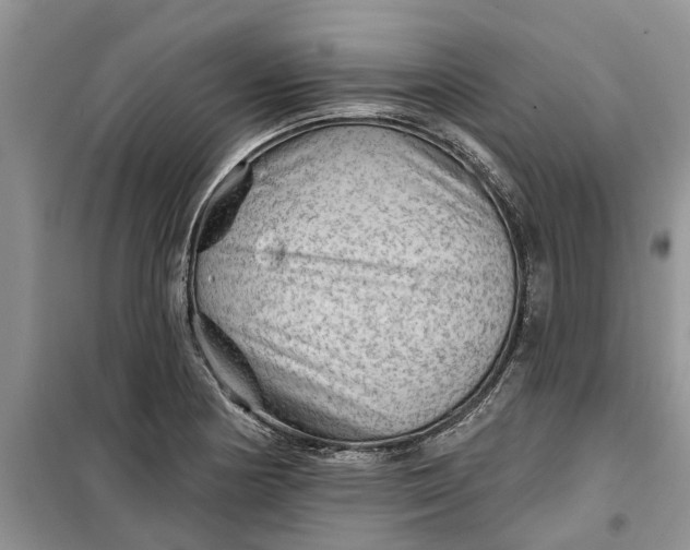 X0000099501178200805291121