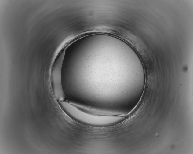 X0000099501180200805291121