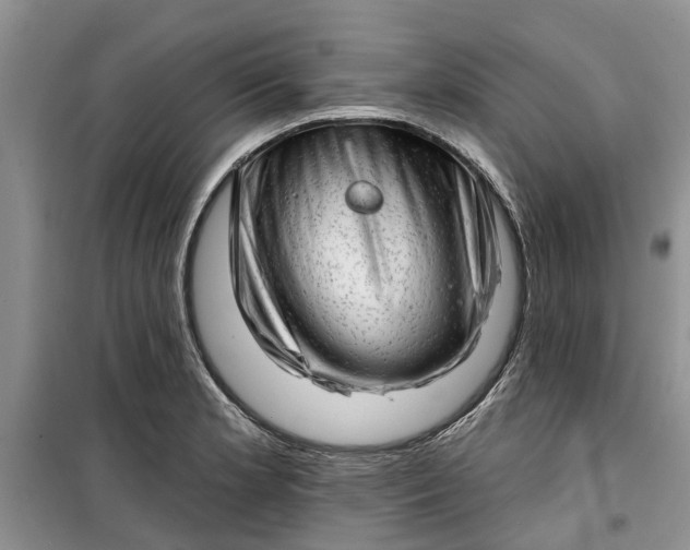 X0000099501181200805291121
