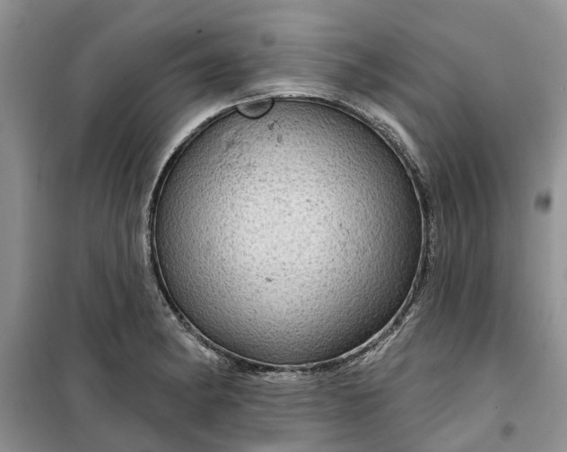 X0000099501182200805291121