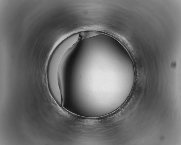 X0000099501184200805291121