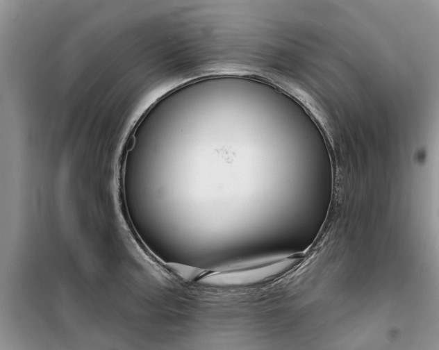 X0000099501187200805291121