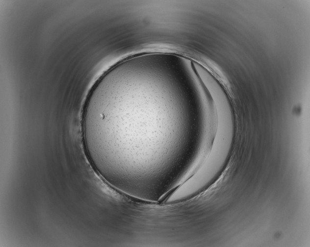 X0000099501192200805291121