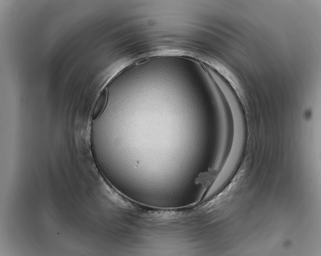 X0000099501193200805291121