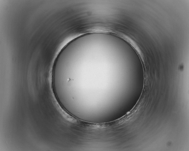 X0000099501195200805291121