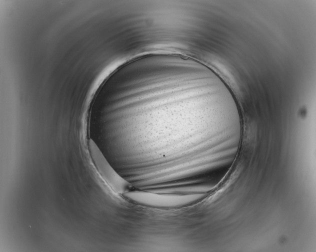 X0000099501196200805291121