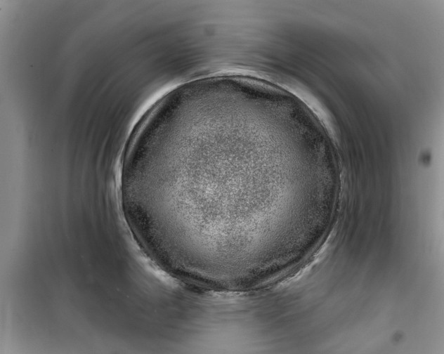 X0000099501198200805291121