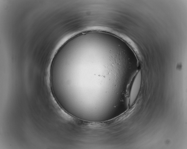 X0000099501199200805291121