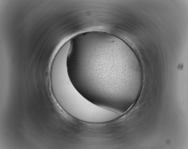 X0000099501200200805291121