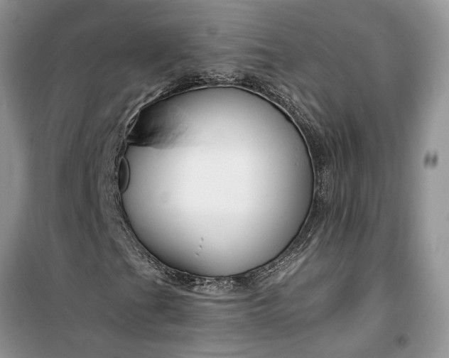 X0000099501201200805291120