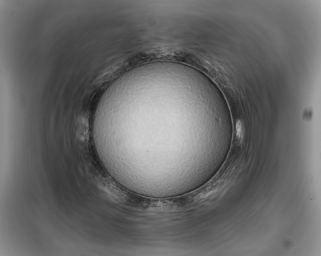 X0000099501203200805291120