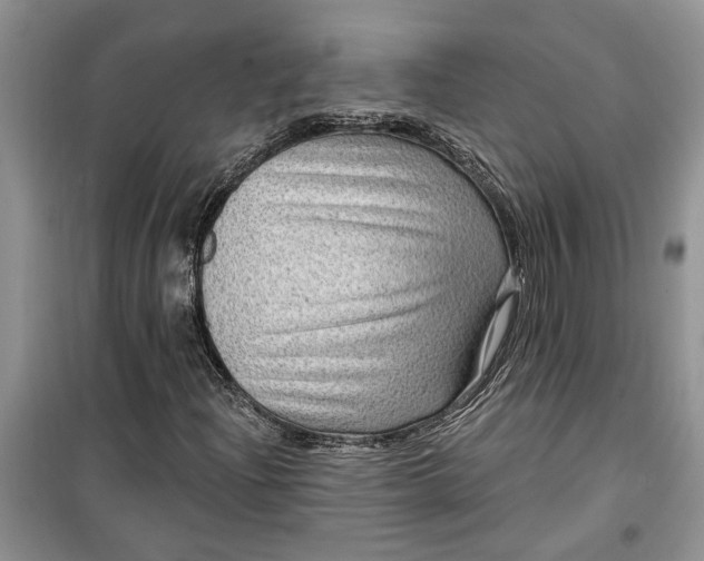 X0000099501204200805291120