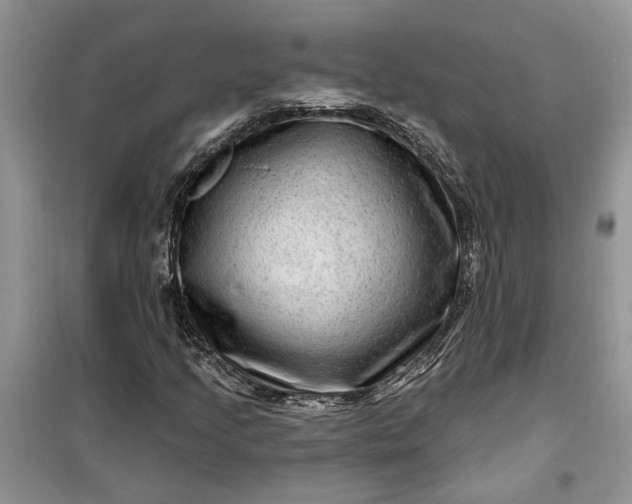 X0000099501205200805291120