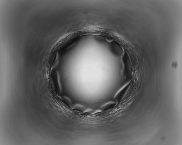 X0000099501206200805291120