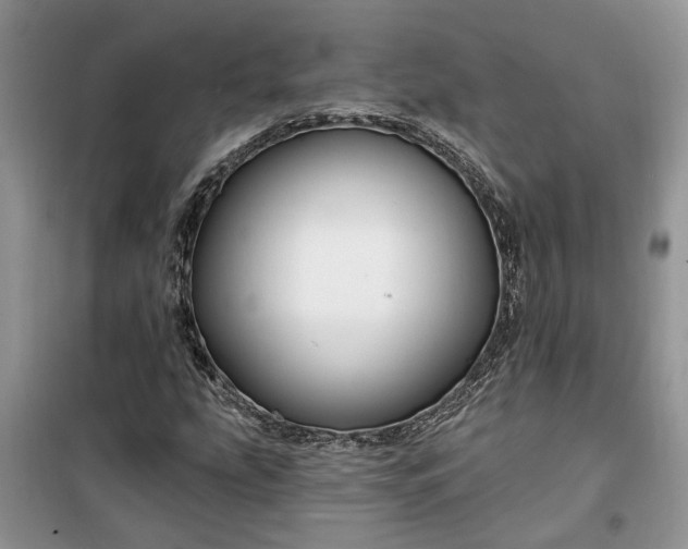 X0000099501207200805291120