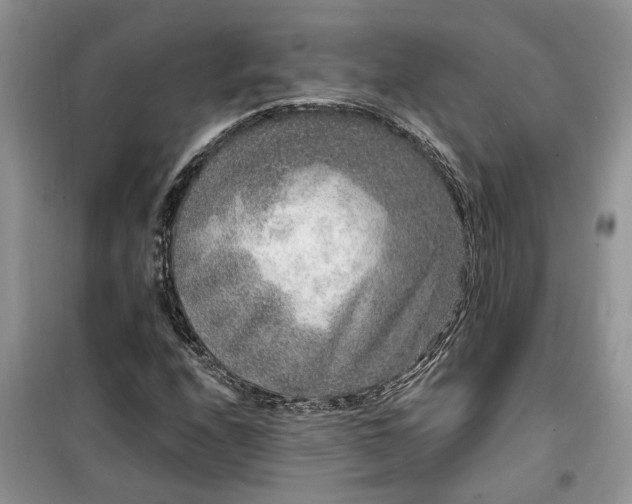 X0000099501208200805291120