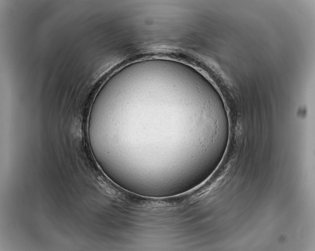 X0000099501209200805291120